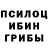 Псилоцибиновые грибы Cubensis Alina Kaliuzhna