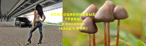 прущая мука Горняк
