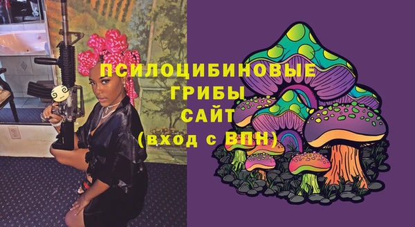МДМА Гусиноозёрск