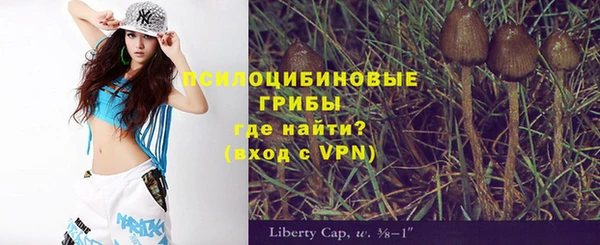 МДМА Гусиноозёрск
