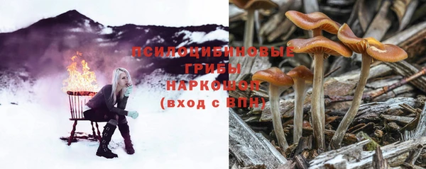 наркотики Гусь-Хрустальный